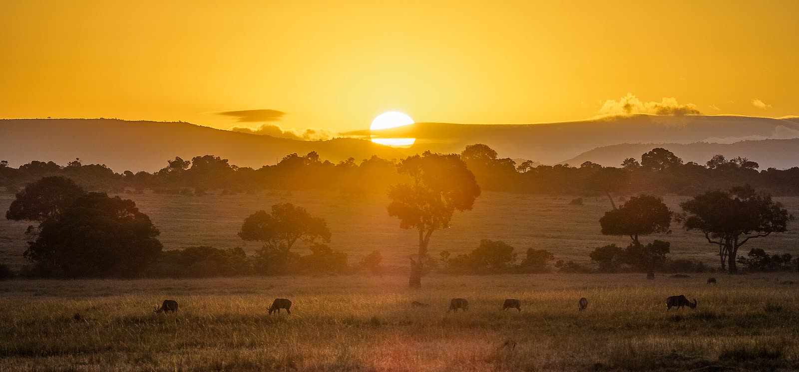 Maasai Mara